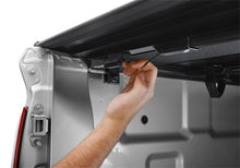 Load image into Gallery viewer, Photo - Close Up