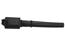 Load image into Gallery viewer, Photo - Unmounted