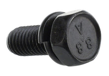 Load image into Gallery viewer, Photo - Unmounted