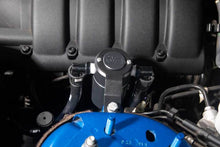 Load image into Gallery viewer, Photo - Mounted