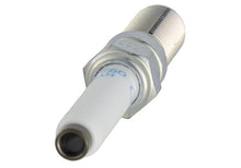 Load image into Gallery viewer, Photo - Unmounted