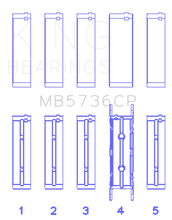 Load image into Gallery viewer, Photo - Primary