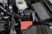 Load image into Gallery viewer, Photo - Mounted