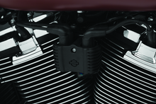 Load image into Gallery viewer, User 1