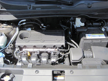 Load image into Gallery viewer, Photo - Mounted