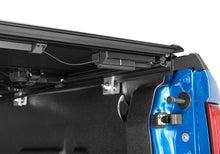 Load image into Gallery viewer, Photo - Close Up