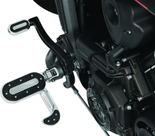 Load image into Gallery viewer, User 1