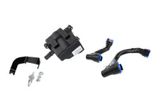 Load image into Gallery viewer, Photo - Unmounted