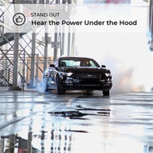 Load image into Gallery viewer, Technical Bulletin