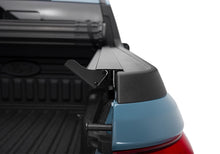 Load image into Gallery viewer, Photo - Close Up