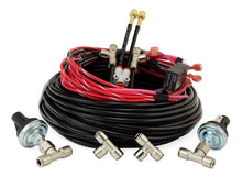 Load image into Gallery viewer, Photo - Unmounted