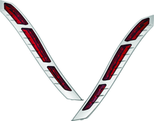 Load image into Gallery viewer, Photo - Primary