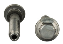 Load image into Gallery viewer, Photo - Unmounted