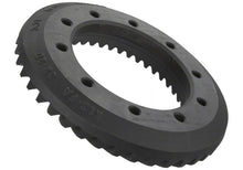 Load image into Gallery viewer, Photo - Unmounted