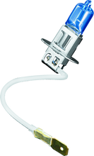 Load image into Gallery viewer, Photo - Primary