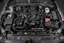 Load image into Gallery viewer, Photo - Mounted