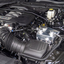 Load image into Gallery viewer, User 1