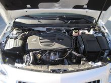 Load image into Gallery viewer, Photo - Mounted