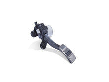 Load image into Gallery viewer, Photo - Unmounted