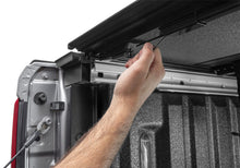 Load image into Gallery viewer, Photo - Close Up