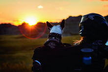 Load image into Gallery viewer, User 3