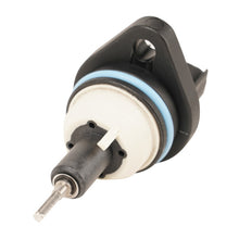 Load image into Gallery viewer, Photo - Unmounted