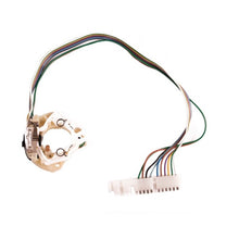 Load image into Gallery viewer, Photo - Primary