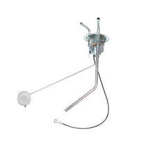 Load image into Gallery viewer, Photo - Primary