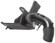 Load image into Gallery viewer, Photo - lifestyle view