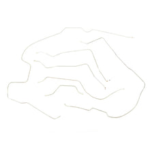 Load image into Gallery viewer, Photo - Primary