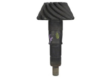 Load image into Gallery viewer, Photo - Unmounted