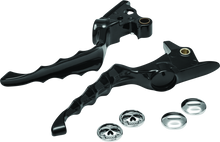 Load image into Gallery viewer, Photo - Primary