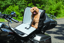 Load image into Gallery viewer, User 1