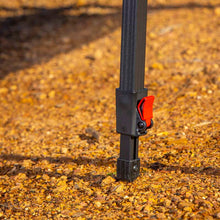 Load image into Gallery viewer, Photo - Close Up