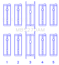 Load image into Gallery viewer, Photo - Primary