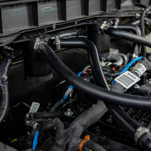 Load image into Gallery viewer, User 1