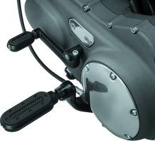 Load image into Gallery viewer, Photo - Primary