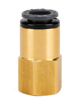 Load image into Gallery viewer, User 1